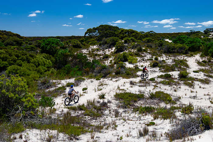 ExceptionalKI-5 - GALLERY.jpg